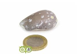 Agaat geodines AG-GE-RM-2-18