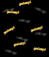 Geslaagd Tafelconfetti Zwart Goud 14gr