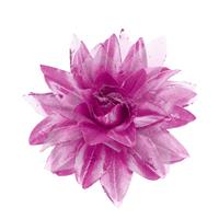 Paars Roze Haarbloem Glitter