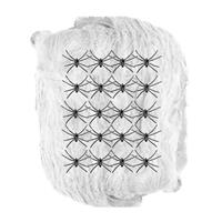 Halloween Spinnenweb Wit Met Spinnen