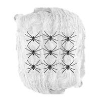 Halloween Spinnenweb Met Spinnen 10 delig