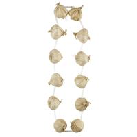 Halloween Ketting Knoflook 48cm