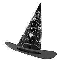 Halloween Heksenhoed Zwart Wit Spinnenweb