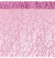 OLD PINK GLITTERED TABLE RIBBON 10CM X 5M