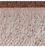 CHOCOLATE GLITTERED TABLE RIBBON 10CM X 5M