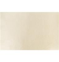 Ivoorkleurige Tafelkleed Glossy 3m