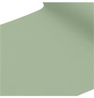 Groene Tafelkleed 2,4m