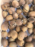 Kiwis vers geplukt
