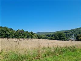 Ardennen 5544 Agimont : prachtige gronden.