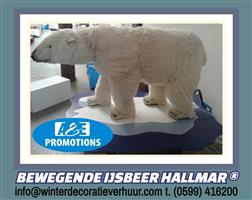 verhuur ijsbeer groot arnhem nijmegen 