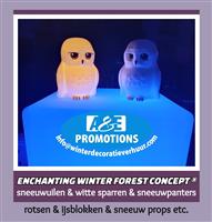 huur decorbouw winters hasselt luik