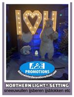 huur noorderlicht decoratie lapland items brussel