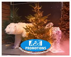 verhuur wintersprookje rekwisieten hasselt breda