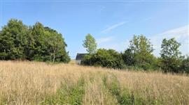 Les Hayons : grote grond in de Semois regio.