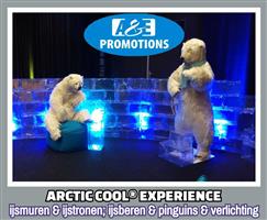 winterwonderland aankleding eindhoven den bosch