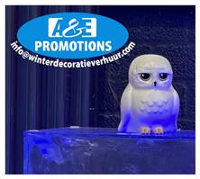 verhuur sneeuwuilen wintersprookjesbos aankleding 