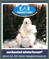 groot ijsbeer huren groningen leeuwarden