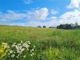 Ardennen 6970 Ortheuville : grond, 21a 06ca.