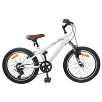 vidaXL Kids Mountain Bike 24 Inch 6-Speed voor 8-12 jaar oud Wit