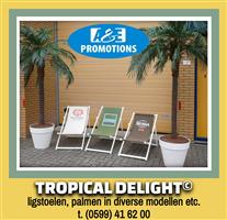 verhuur zomer aankleding palmbomen ligstoelen