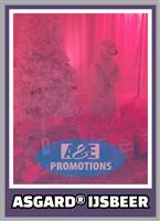 top winterfeest items ijsmuur verhuur gent