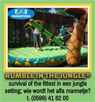 verhuur springkussen jungle thema almelo