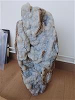 Botryoidale chalcedoon op versteend hout