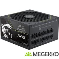 MSI MAG A1000PLS PCIE5