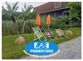 groningen palmbomen decoratie verhuur ligstoelen