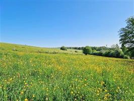 Semois - Les Hayons : grond, 1Ha 44a 66ca.