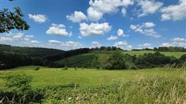 Erezee Ardennen : bouwgrond, 10a 13ca.