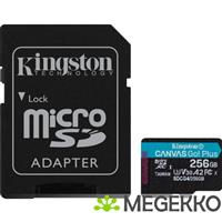 Kingston Canvas Go! Plus 256GB