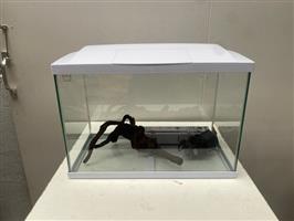 (19) Recente complete aquarium met toebehoren.