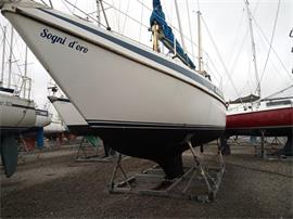 Zeilboot Neptun 32 MS