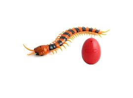 RC Centipede avec télécommande - Centipede Toy Controlable R