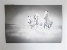 Canvas Paarden op het water (grijs / wit)