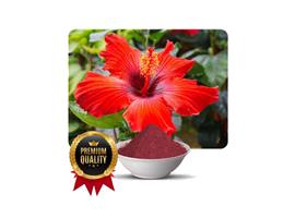 Quality Hibiscus Powder for Hair