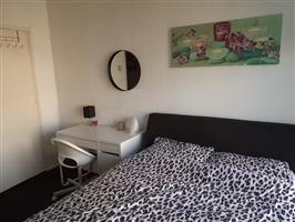 Kamer Catharinaland in Den Haag