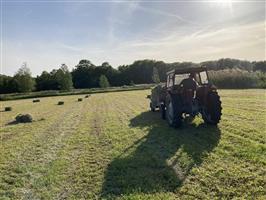 hooi te koop - kleine pakjes - regio Bonheiden