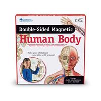 Dubbelzijdige magneten: het menselijk lichaam