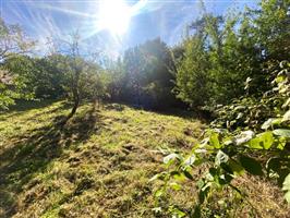 6824 CHASSEPIERRE  : bouwgrond van 21a 72ca