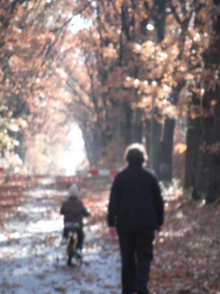 Grote foto nazomerse weekendjes super voordelig in hengelhoef vakantie belgi