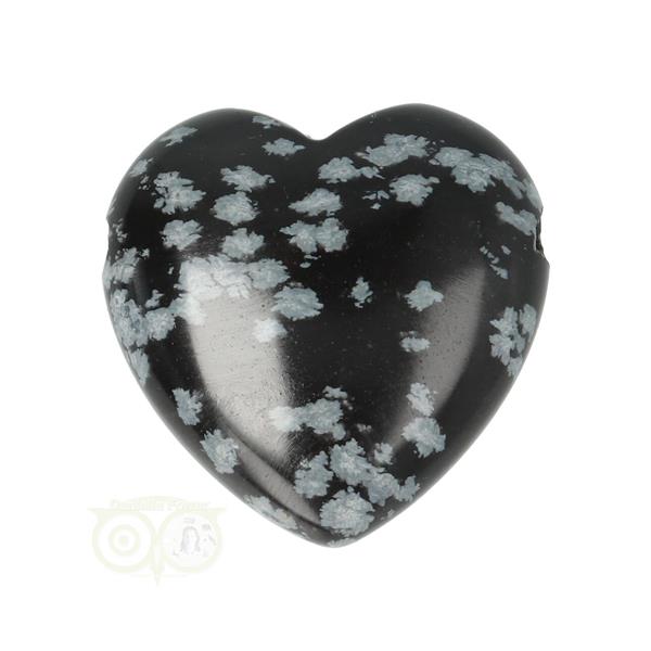 Grote foto sneeuwvlok obsidiaan doorboorde hart hanger 3 cm nr 17 verzamelen overige verzamelingen