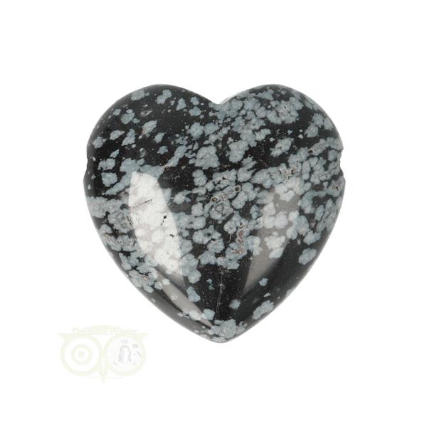 Grote foto sneeuwvlok obsidiaan doorboorde hart hanger 3 cm nr 16 verzamelen overige verzamelingen