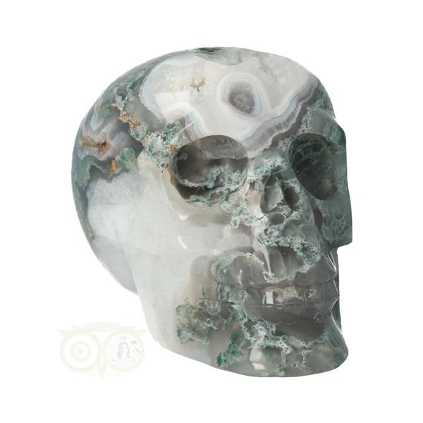 Grote foto mosagaat schedel nr 267 1050 gram verzamelen overige verzamelingen