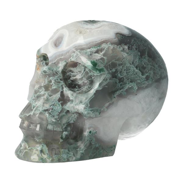 Grote foto mosagaat schedel nr 267 1050 gram verzamelen overige verzamelingen