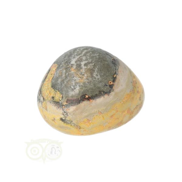 Grote foto bumble bee jaspis trommelsteen nr 12 21 gram verzamelen overige verzamelingen