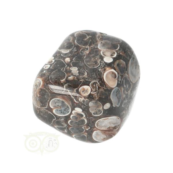 Grote foto turitella agaat trommelsteen nr 37 29 gram verzamelen overige verzamelingen