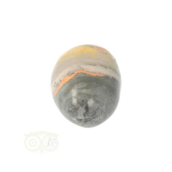 Grote foto bumble bee jaspis trommelsteen nr 8 16 gram verzamelen overige verzamelingen