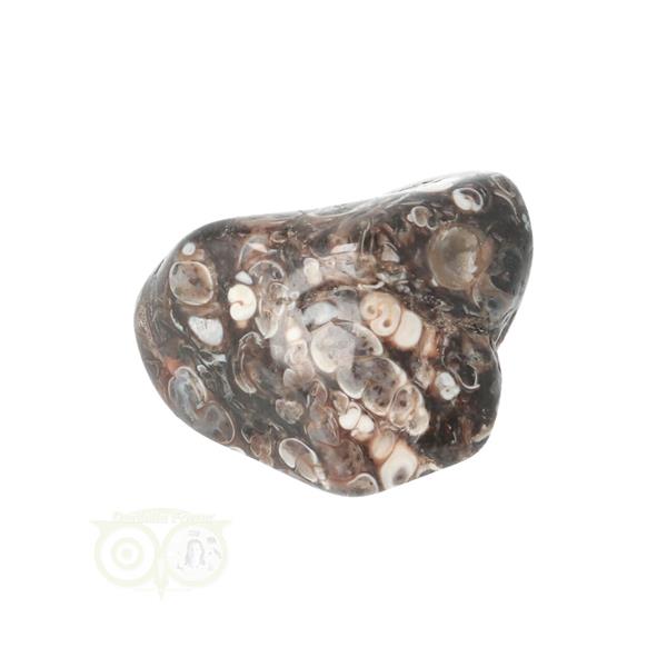 Grote foto turitella agaat trommelsteen nr 33 17 gram verzamelen overige verzamelingen